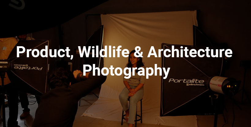 Product, Wildlife & Architecture Photography