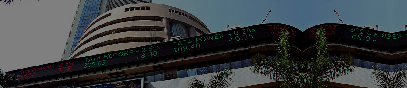 Department of Commerce (Accounting & Finance)